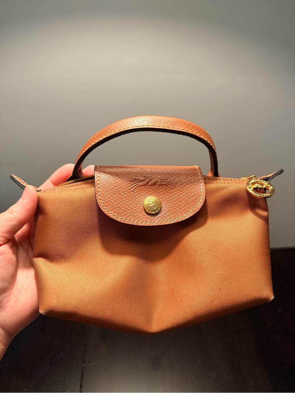 Longchamp Le Pliage Pouch Micro Bag